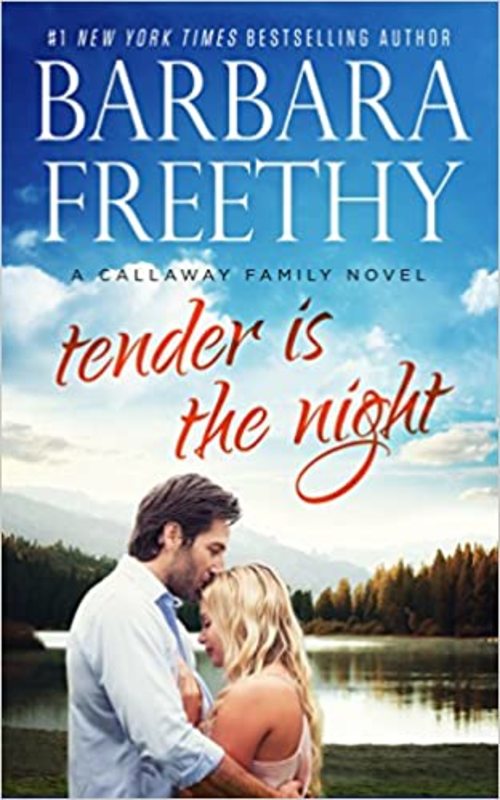 Book cover for "Tender is the Night" by Barbara Freethy