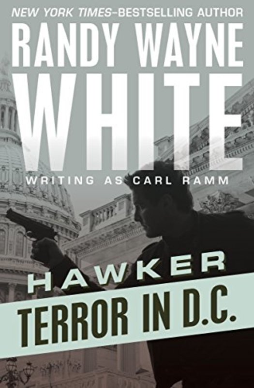 Book cover for "Terror in D.C." by Randy Wayne White