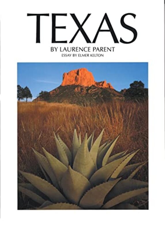 Book cover for "Texas" by Elmer Kelton