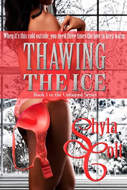 Book cover for "Thawing the Ice" by Shyla Colt