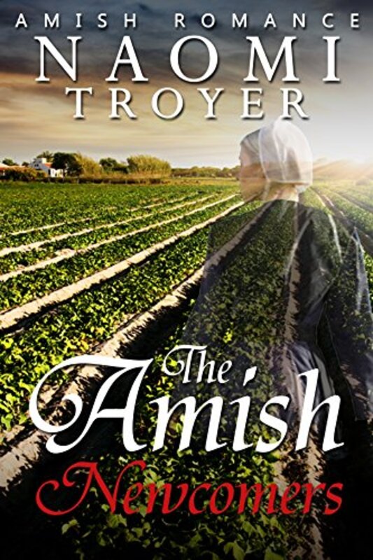 Book cover for "The Amish Newcomers" by Naomi Troyer