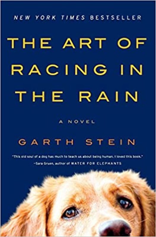 Book cover for "The Art of Racing in the Rain" by Garth Stein