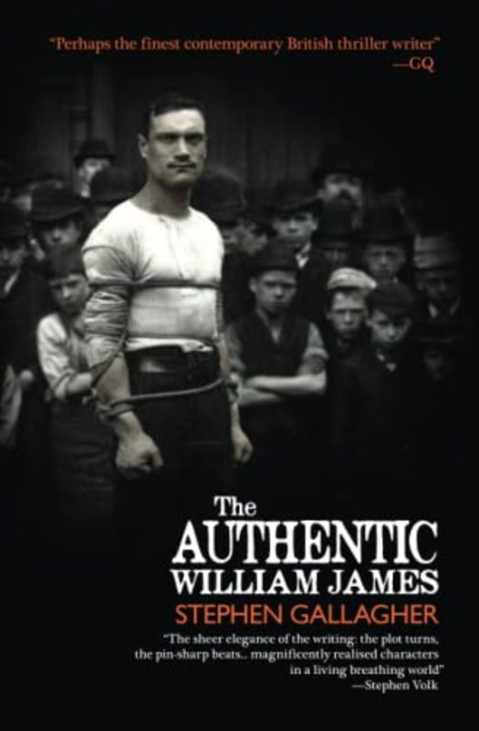 Book cover for "The Authentic William James" by Stephen Gallagher