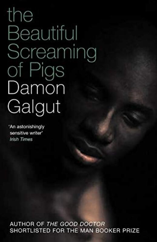Book cover for "The Beautiful Screaming Of Pigs" by Damon Galgut