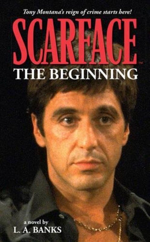 Book cover for "The Beginning" by LA Banks