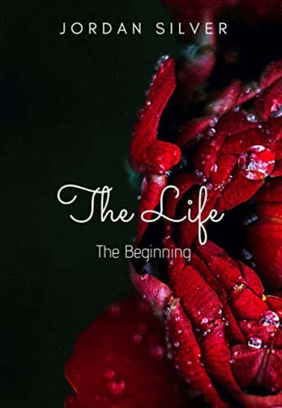 Book cover for "The Beginning" by Jordan Silver