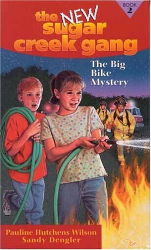 Book cover for "The Big Bike Mystery" by Sandy Dengler