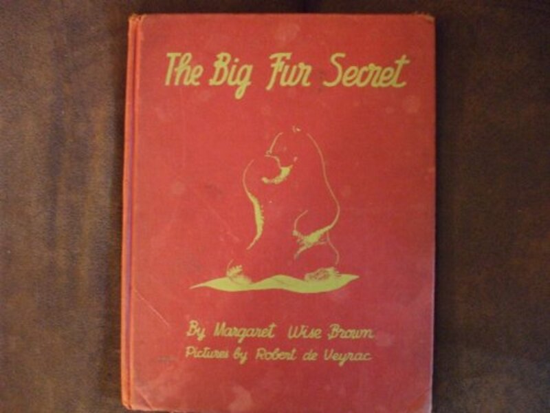 Book cover for "The Big Fur Secret" by Margaret Wise Brown