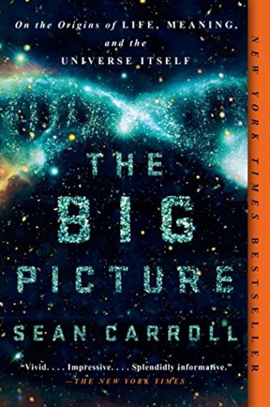 Book cover for "The Big Picture"