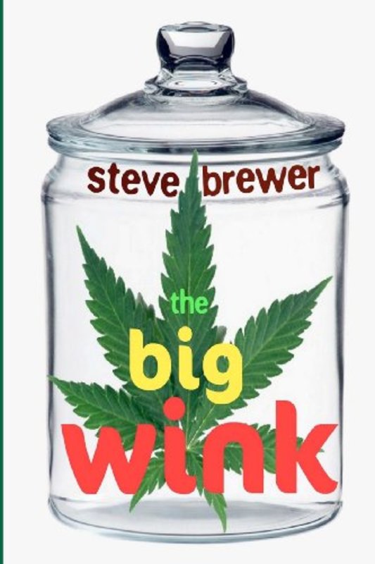 Book cover for "The Big Wink" by Steve Brewer