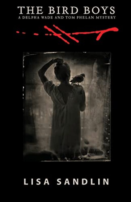 Lisa Sandlin book cover