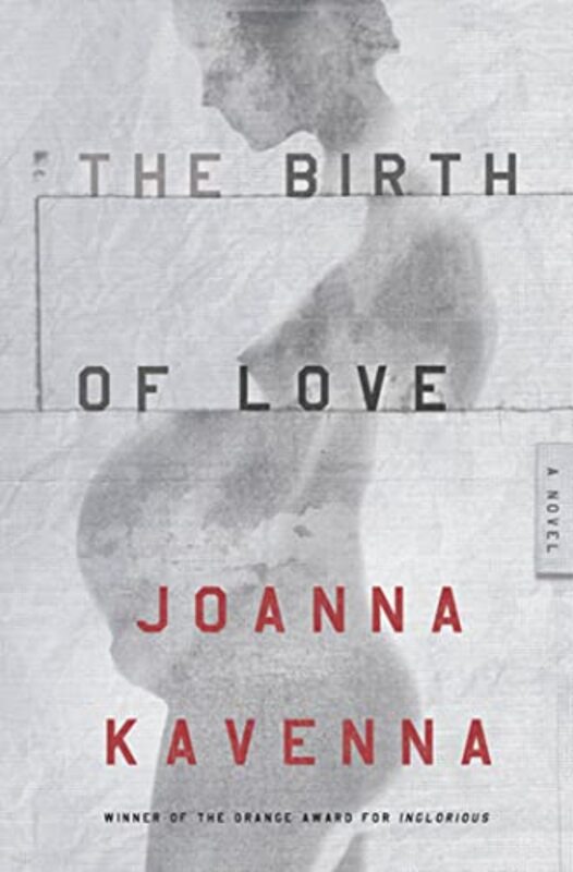 Book cover for "The Birth of Love" by Joanna Kavenna