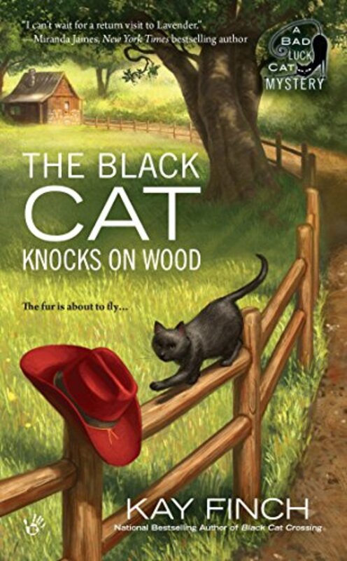 Book cover for "The Black Cat Knocks on Wood" by Kay Finch