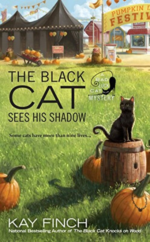 Kay Finch book cover