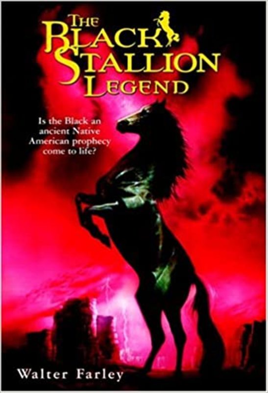 Black Stallion book cover