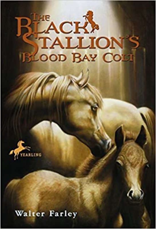 Book cover for "The Black Stallion's Blood Bay Colt" by Walter Farley