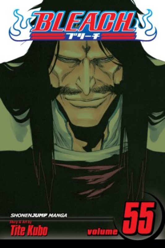 Book cover for "The Blood Warfare" by Tite Kubo