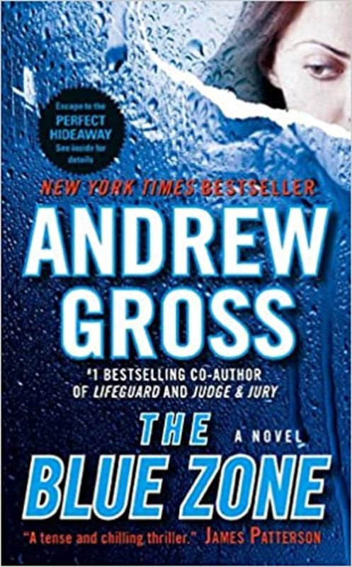 Book cover for "The Blue Zone" by Andrew Gross
