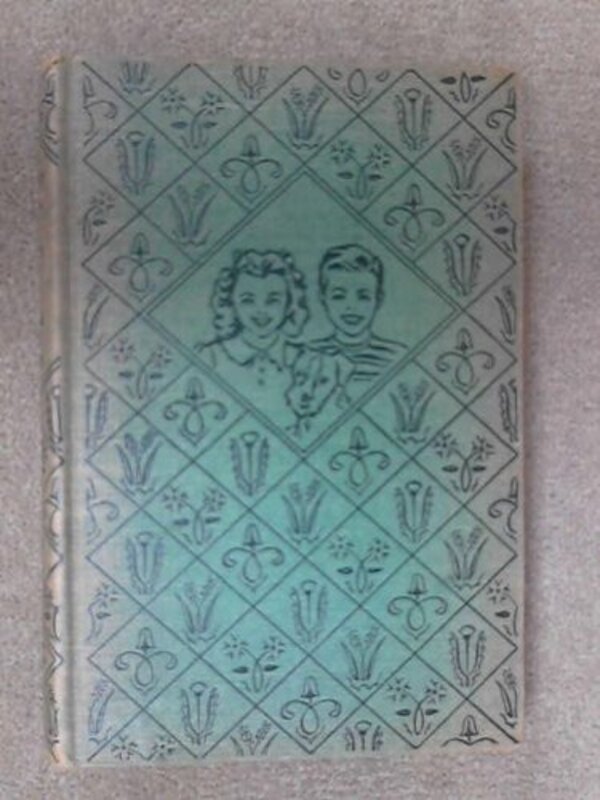 Book cover for "The Bobbsey Twins In Mexico" by Laura Lee Hope