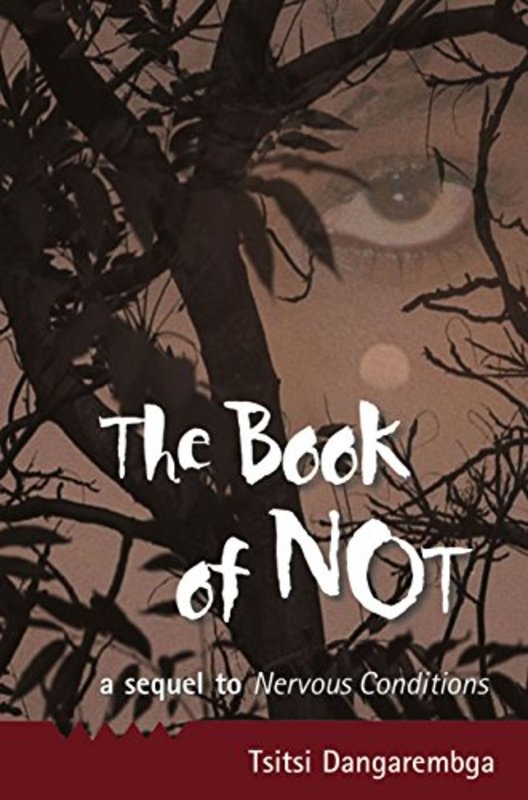 Tsitsi Dangarembga book cover
