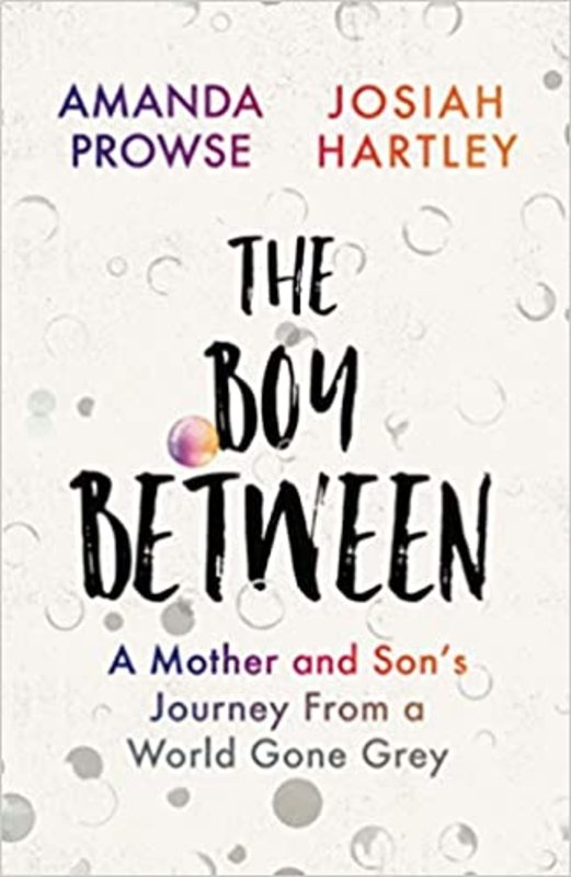 Book cover for "The Boy Between" by Amanda Prowse