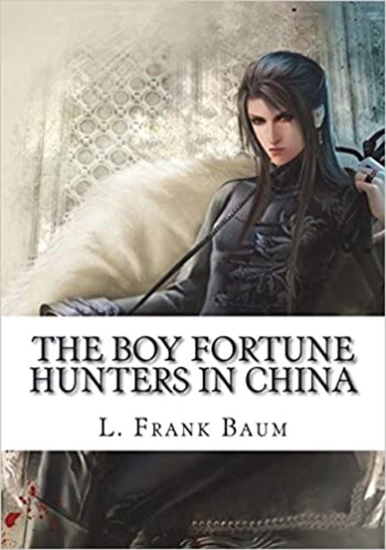 Boy Fortune Hunters book cover