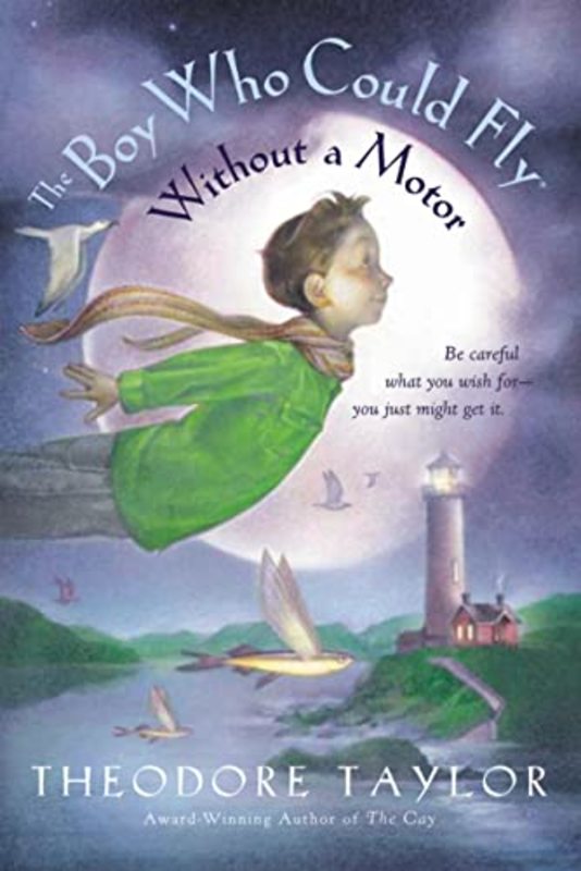 Book cover for "The Boy Who Could Fly Without a Motor" by Theodore Taylor