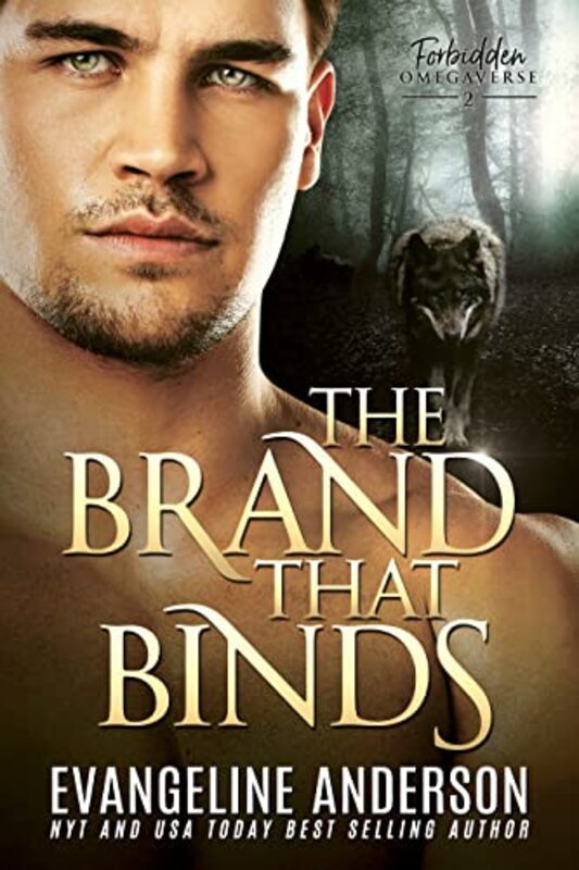 Evangeline Anderson book cover