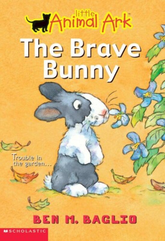 Book cover for "The Brave Bunny" by Lucy Daniels