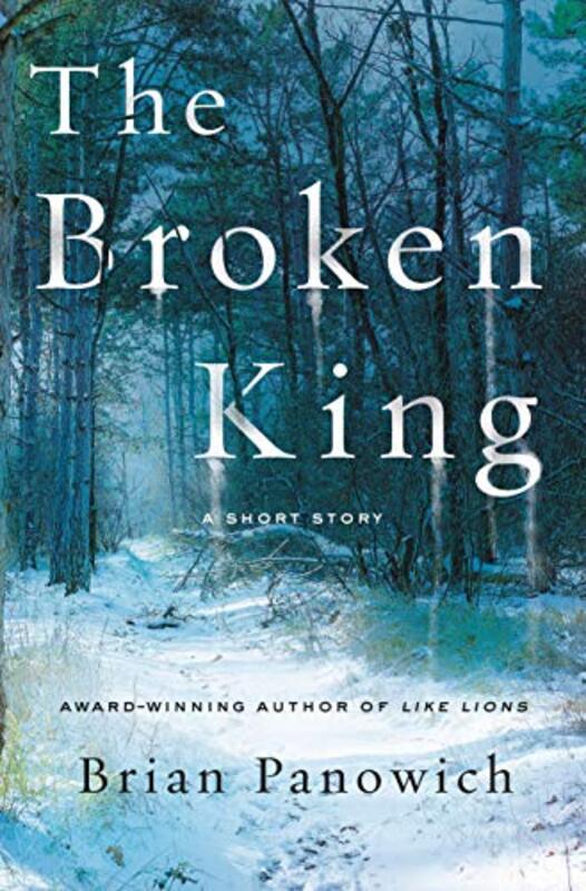 Brian Panowich book cover