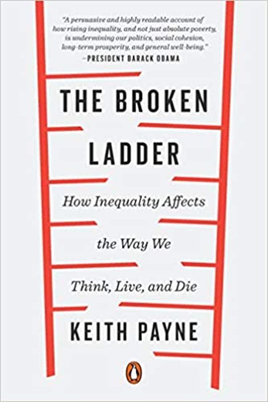 Book cover for "The Broken Ladder" by Keith Payne