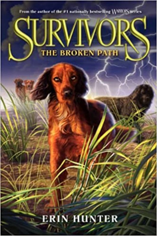 Book cover for "The Broken Path" by Erin Hunter