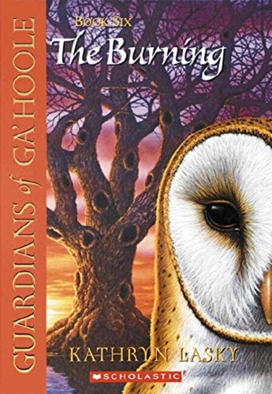 Guardians Of Ga'Hoole book cover