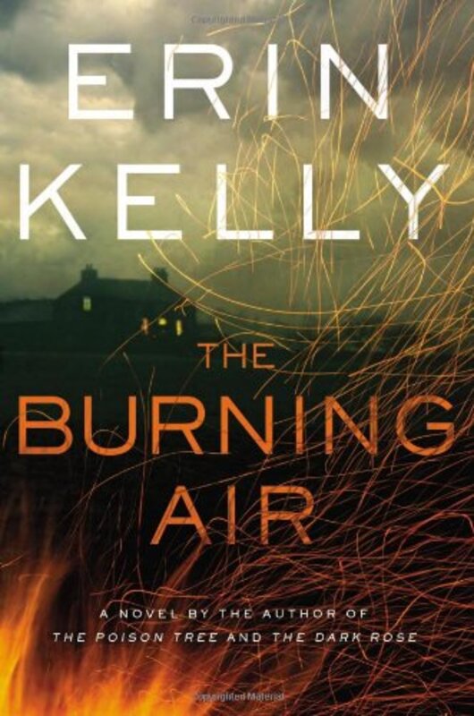 Book cover for "The Burning Air" by Erin Kelly