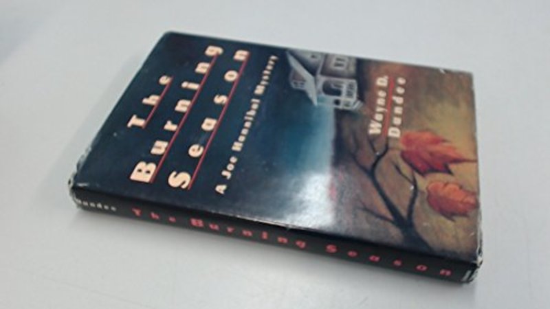 Book cover for "The Burning Season" by Wayne D Dundee