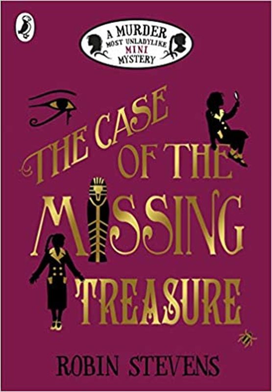 Book cover for "The Case of the Missing Treasure" by Robin Stevens