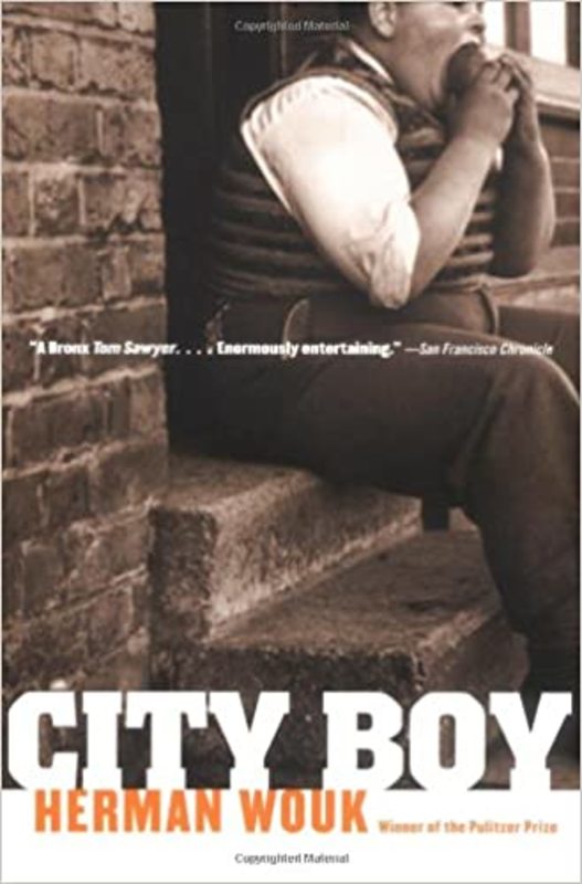 Book cover for "The City Boy" by Herman Wouk