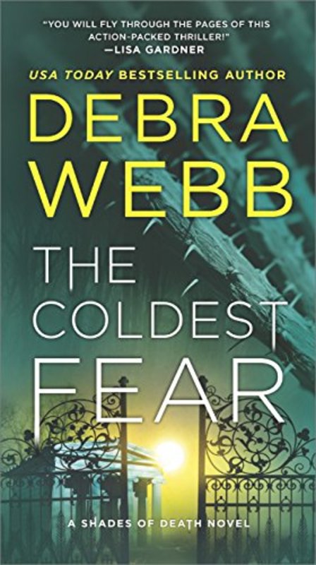 Book cover for "The Coldest Fear" by Debra Webb