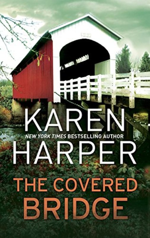 Amish Home Valley book cover