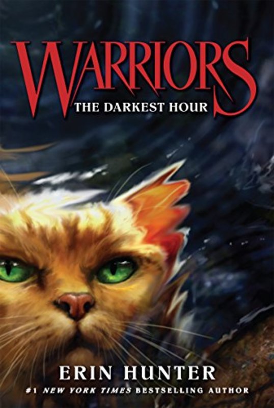 The Warriors book cover