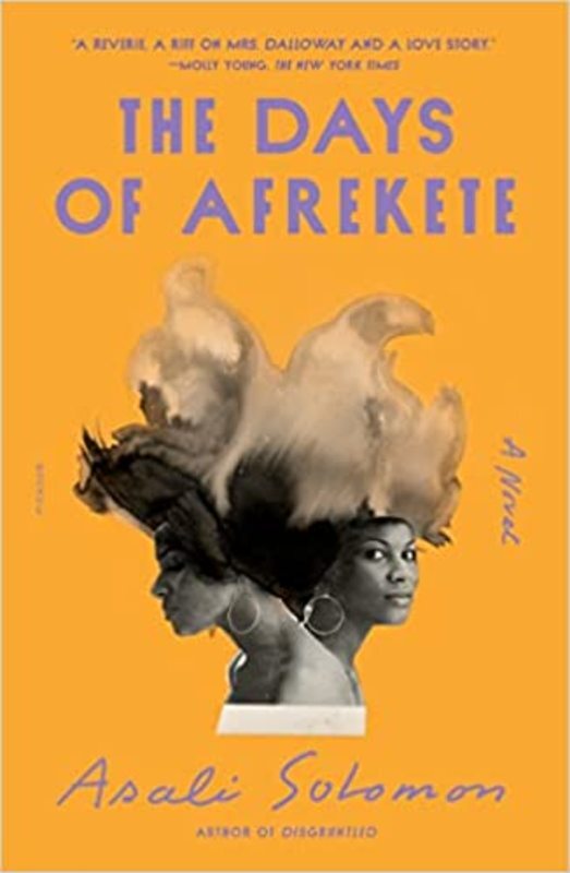 Book cover for "The Days of Afrekete" by Asali Solomon