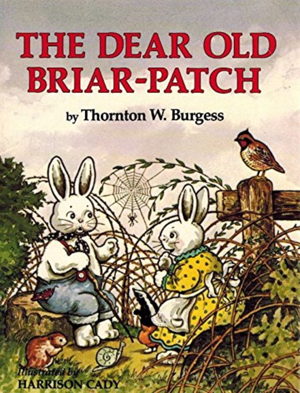 Book cover for "The Dear Old Briar-Patch" by Thornton W Burgess