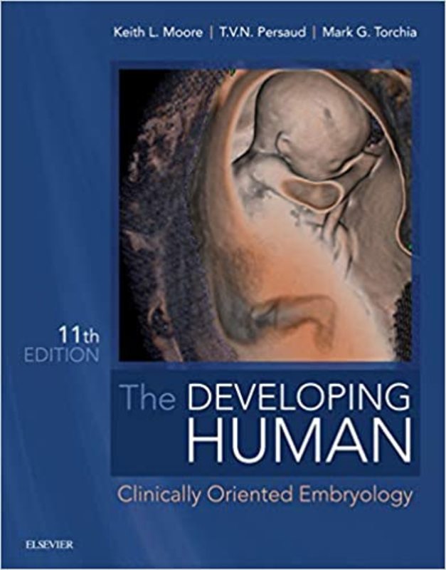 Book cover for "The Developing Human" by Keith L. Moore