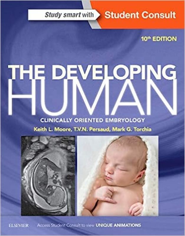 Book cover for "The Developing Human" by Keith L. Moore