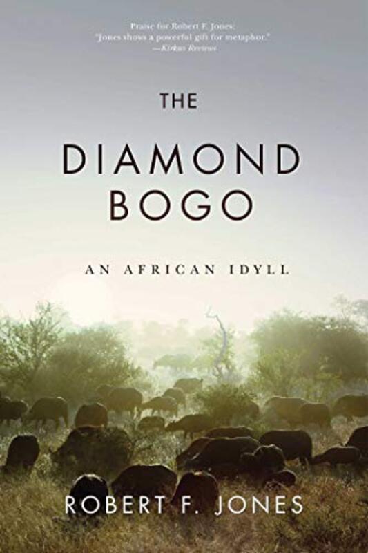 Book cover for "The Diamond Bogo" by Robert F Jones