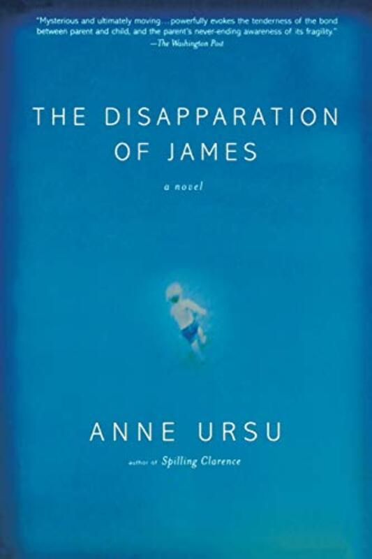 Book cover for "The Disapparation of James" by Anne Ursu