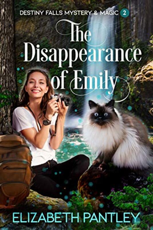 Book cover for "The Disappearance of Emily" by Elizabeth Pantley
