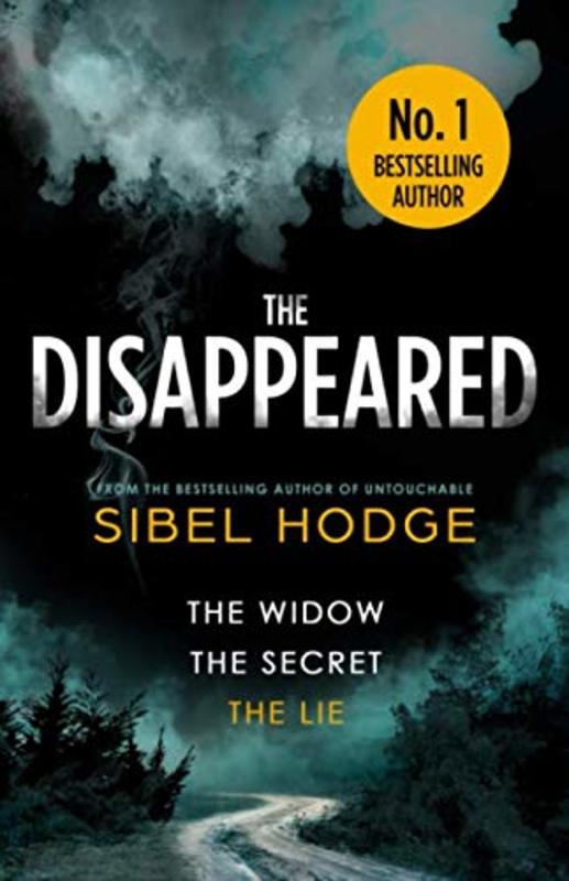 Book cover for "The Disappeared" by Sibel Hodge