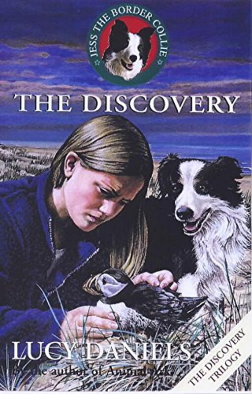 Book cover for "The Discovery" by Lucy Daniels