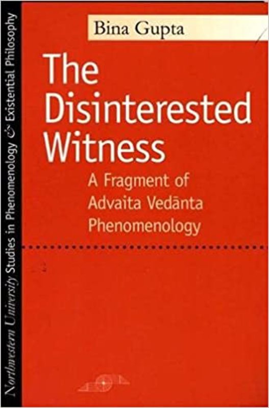 Book cover for "The Disinterested Witness" by Bina Gupta